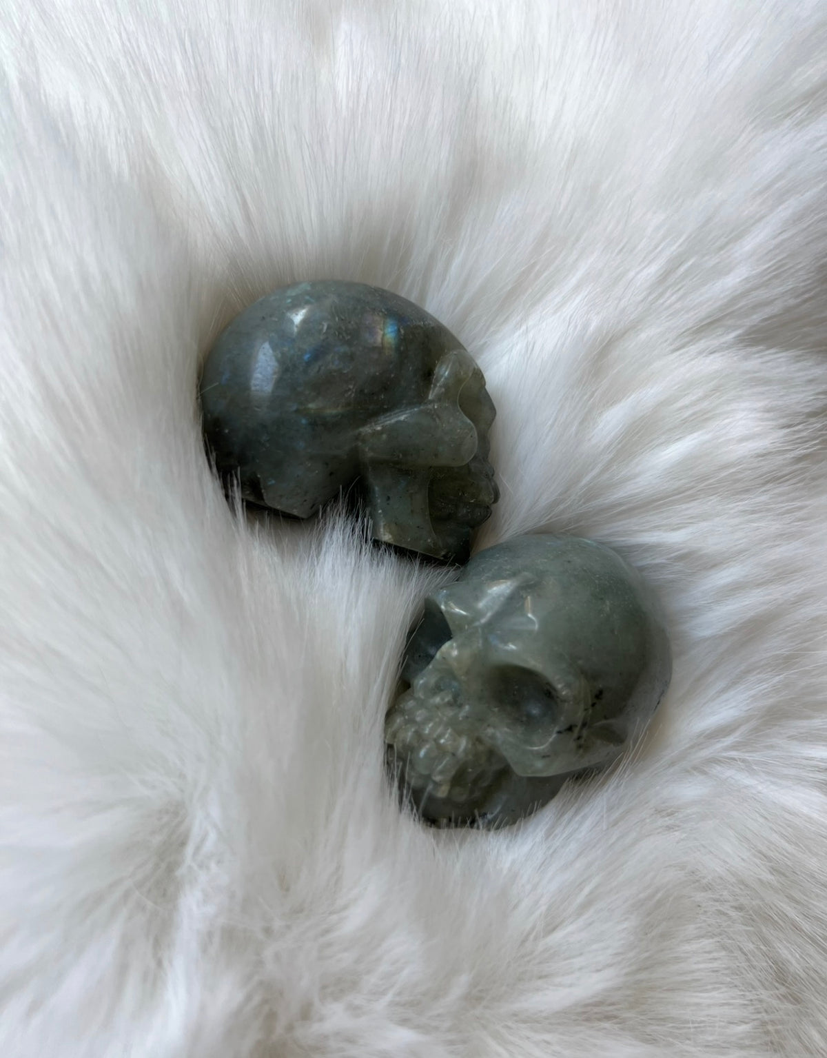 Labradorit Skull