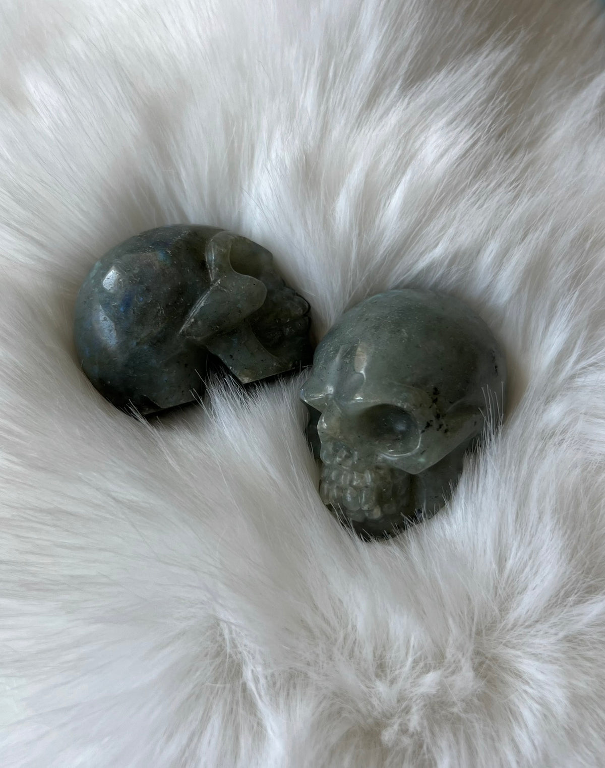 Labradorit Skull
