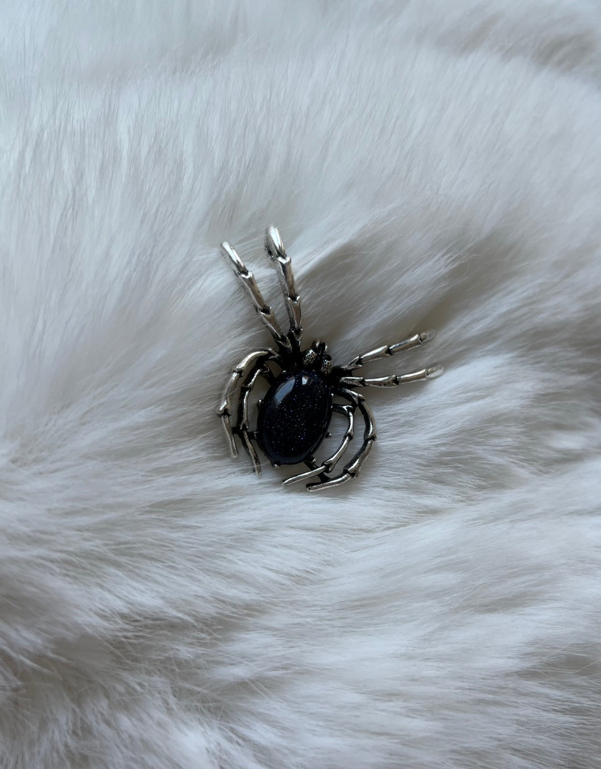 Blaufluss Spinne