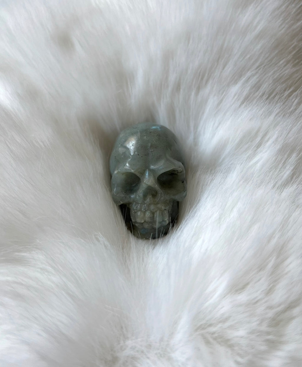 Labradorit Skull