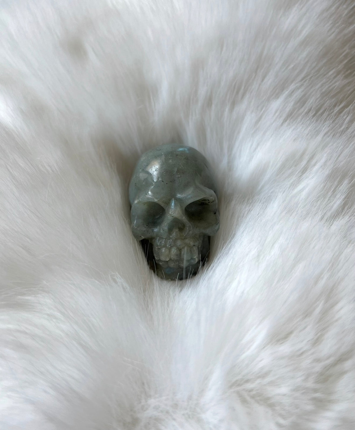 Labradorit Skull